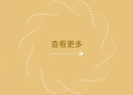 济州岛赌场